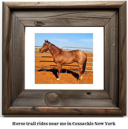 horse trail rides near me in Coxsackie, New York